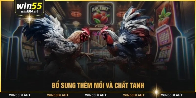 Bổ sung thêm mồi và chất tanh