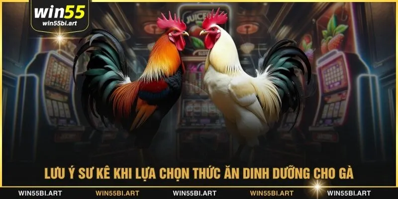 Lưu ý sư kê khi lựa chọn thức ăn dinh dưỡng cho gà