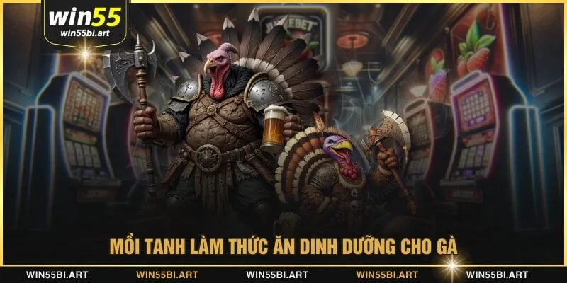 Mồi tanh làm thức ăn dinh dưỡng cho gà