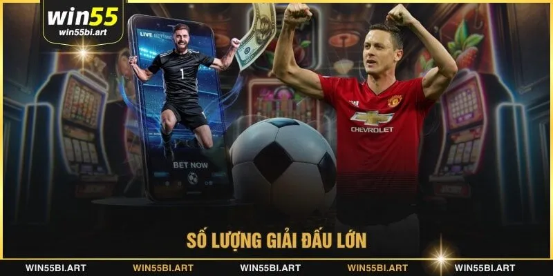 Số lượng giải đấu lớn