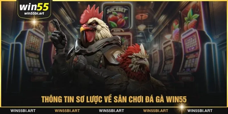 Thông tin sơ lược về sân chơi đá gà WIN55