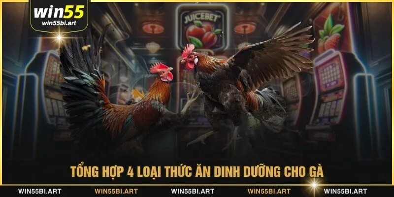 Tổng hợp 4 loại thức ăn dinh dưỡng cho gà